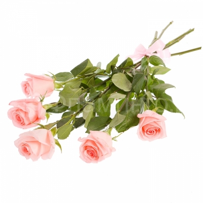 Розы код 605 Трогательный букет из пяти розовых роз расскажет о Ваших самых нежных и искренних чувствах. Классическая красота роз не оставит равнодушной ни одну представительницу прекрасного пола. Легка и воздушная традиционная <a href=